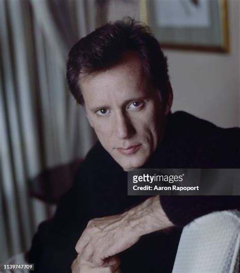 James Woods Photos And Premium High Res Pictures Getty Images