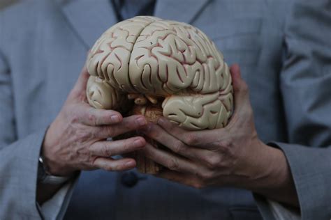 Alzheimer's Disease Starts in Childhood, With Symptoms Found in Babies ...