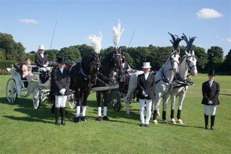 Hire Horse And Carriage For Wedding