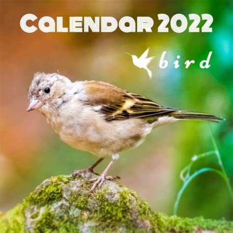 Bird Calendar 2022 Monthly Calendar With The Most Beautiful Photos Of