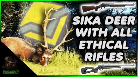 Testing Every Rifle On The Sika Deer A Diamond Sika Deer With A