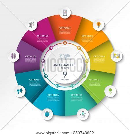 Circular Infographic Vector Photo Free Trial Bigstock