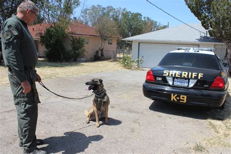 Video Local K 9s Are Certified In Large Training Exercise A Town Daily News Atascadero News