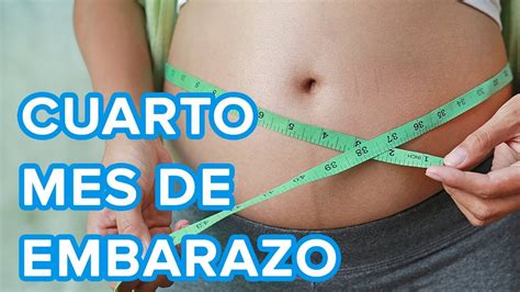 El Cuarto Mes De Embarazo As Crece Tu Beb As Cambia Tu Cuerpo