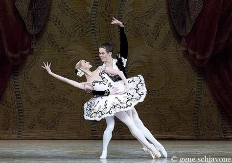 Alina Somova And Leonid Sarafanov Don Quixote Mariinsky Ballet