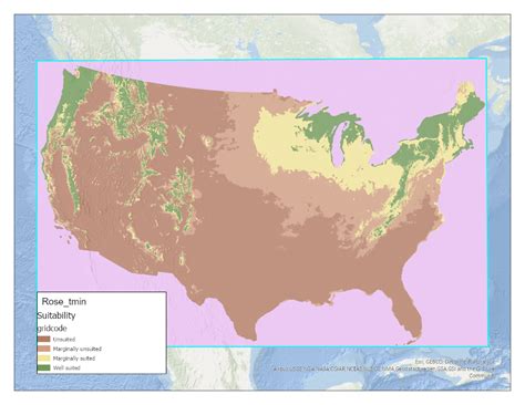 Rosetminpng Forage Information System Oregon State University