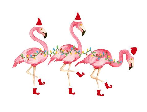 Flamingo Christmas Clip Art 10 Free Cliparts Download Images On