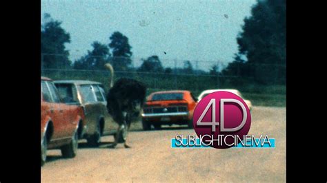 Strafford Missouri Animal Safari 1970s Youtube