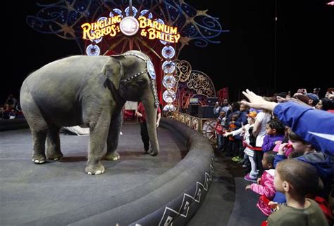 Apnewsbreak Ringling Bros Circus To Close After 146 Years The