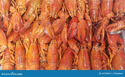 Close Up Of Cooked Lobsters Stock Image Image Of Fish Gourmet 147209911