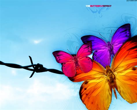 Reflections From My Life The Butterfly Effect