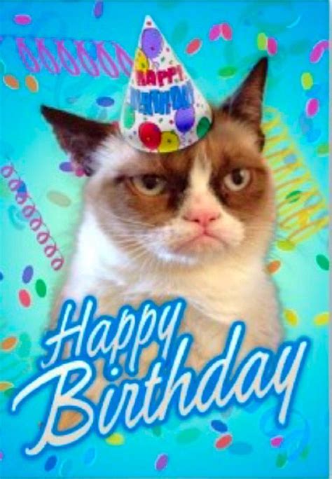 Pin By Bridgette Kearns On Angry Cat Grumpy Cat Birthday Cat Birthday Greetings Funny