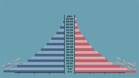 Population Pyramid Youtube