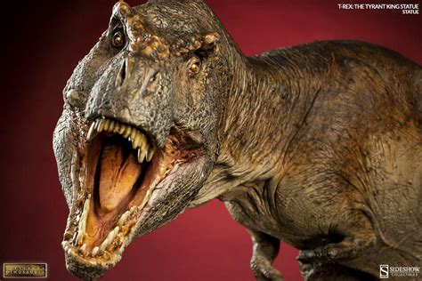 Newly Discovered Dinosaur Reveals How T Rex Became King Of The