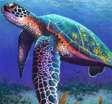 Amazing Colored Pencil Drawing Of A Sea Turtle Turtle Art Color
