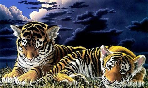 46 Beautiful Tigers Wallpapers On Wallpapersafari