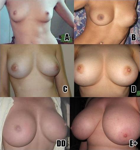 Average Breast Size Nude
