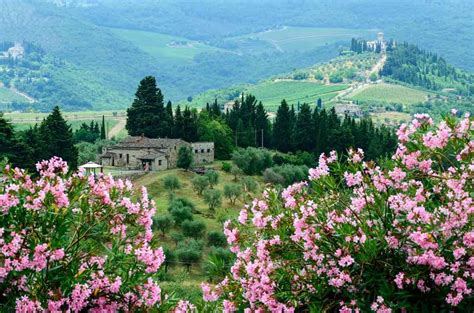 Discover The Countryside Of Italy Off The Beaten Track