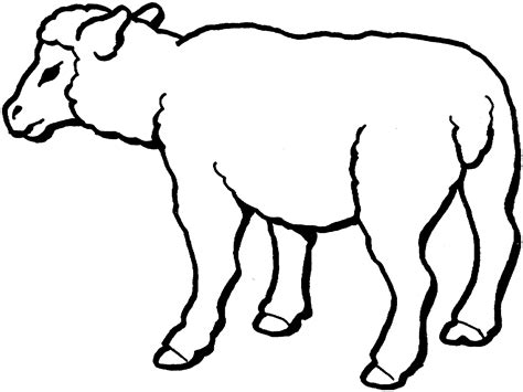 Sheep Templates Printable Clipart Best