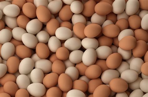 I think it has to do but we use eggs in lots of baked goods, not just in cakes. End Of The Egg? 'Fake Egg' Company Aims To Replace 79 ...