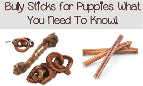 Not only are bully sticks healthy treats, but more importantly, dogs love them! What You NEED to Know about Buying Bully Sticks for ...