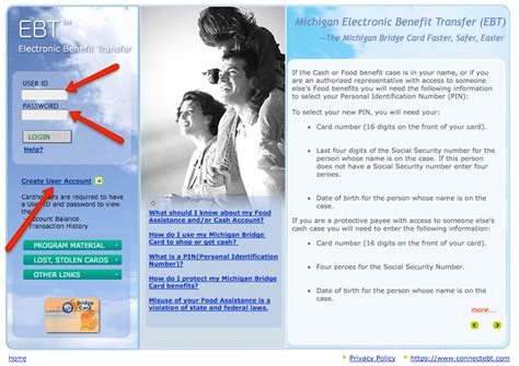 I know they are eligible. Michigan EBT Card Balance Check - EBTCardBalanceNow.com