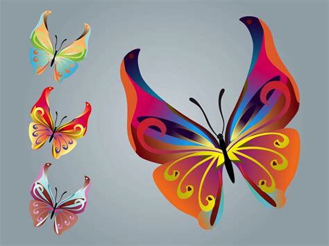 Butterfly Designs Vector Art And Graphics