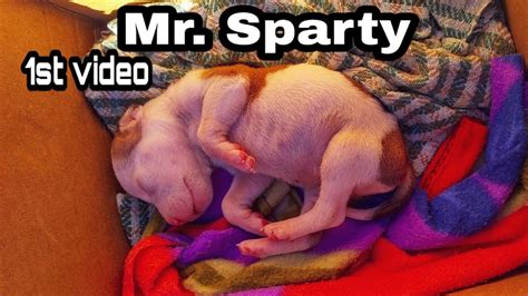 1st Day Mr Sparty Sleeping Youtube