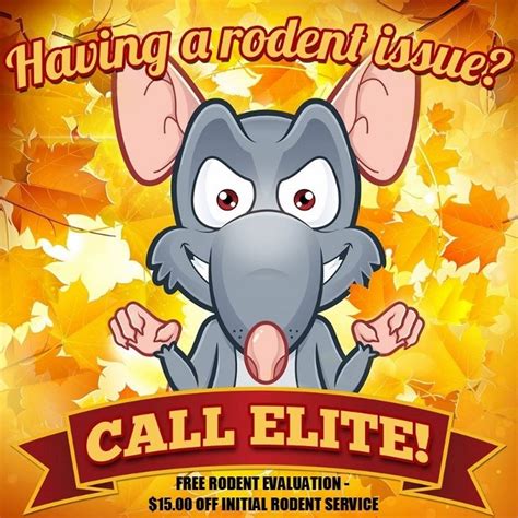 We provide the best pest control service in philadelphia. 25 Best Pest Control Service Near Philadelphia ...