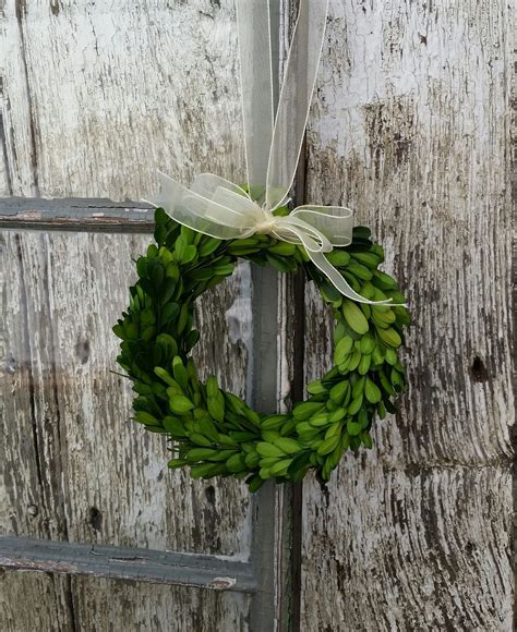 Preserved Boxwood Wreath with Ribbon - Round 8