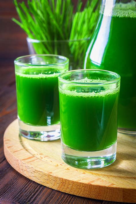 Homemade Wheatgrass Juice Recipe