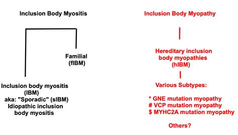 Inclusion Body Myositis Ibm