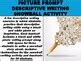 Picture Prompt Descriptive Writing Snowball Activity By Mz S English