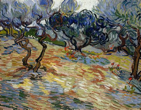 Olive Trees Posters And Prints By Vincent Van Gogh
