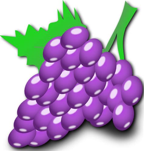Grapes Clip Art At Vector Clip Art Online