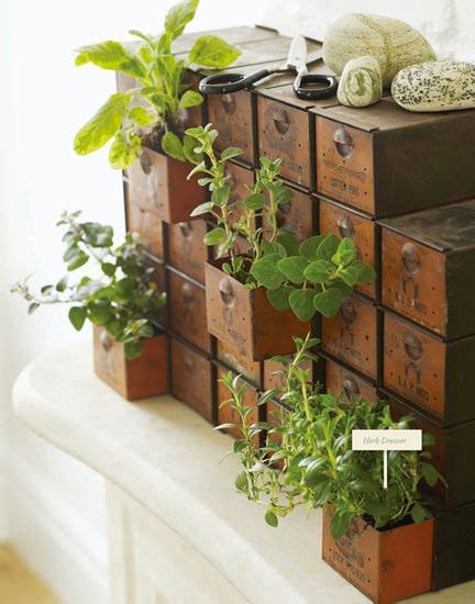 14 Brilliant Diy Indoor Herb Garden Ideas The Garden Glove