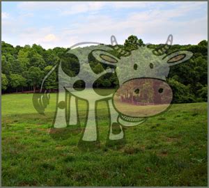 Find the invisible cow | 5.4m people have watched this. Find The Invisible Cow: An Addicting Simple Game « The ...