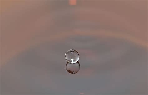 Water Drop Liquid Free Photo On Pixabay Pixabay