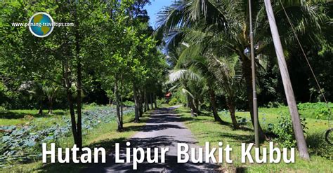 As a cultural hub, penang boasts several festivals throughout the year, including the. Hutan Lipur Bukit Kubu, Kuala Perlis