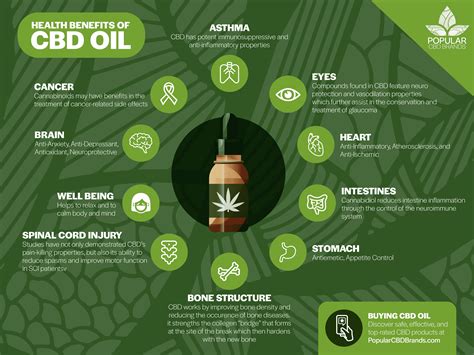 How To Use Cbd Oil The Facts