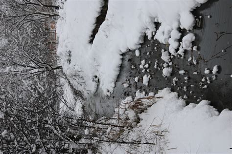 Free Images River Snow Branch Freezing Twig Geological