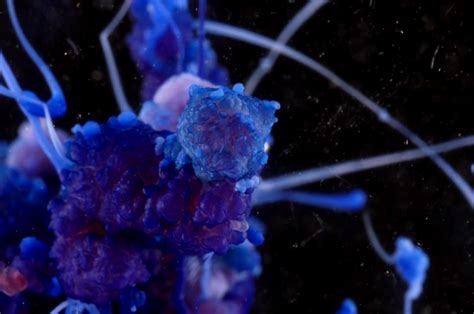 These Beautiful Videos Of Chemical Reactions Will Take Your Breath Away ...