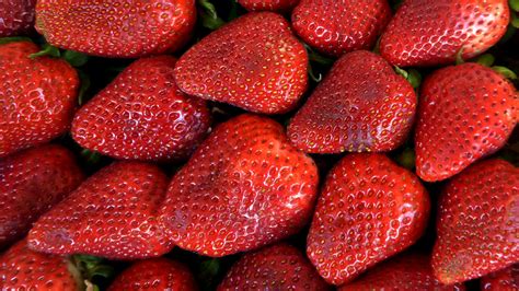 Strawberries Free Stock Photo Public Domain Pictures