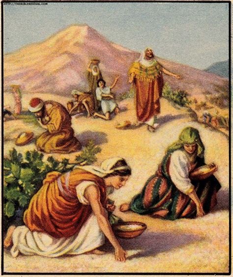 Biblical Mysteries Manna