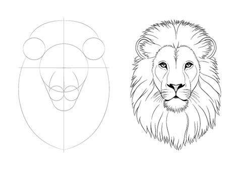 This Step By Step Tutorial Shows How To Draw A Lions Face And Head