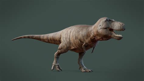 Max Bellomio Tyrannosaurus Rex 3d Model Life Reconstruction