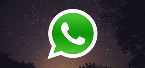 Whatsapp Sarà Gratis E Senza Pubblicità Per Tutti Addio Abbonamento