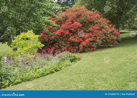 Jardins De Clyne Fleuris Avec Des Fleurs De Printemps Photo Stock
