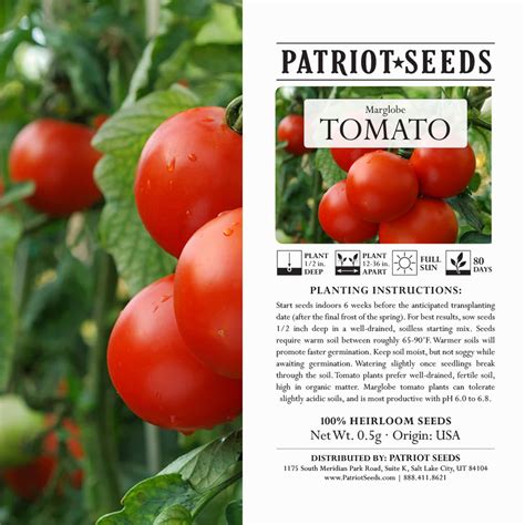 Heirloom Marglobe Tomato Seeds 5g By Patriot Seeds