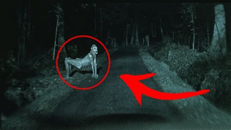Top 8 Strange Freaky Creatures Caught On Camera Youtube
